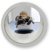 CT scanner for brain tomography