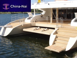 Multifunction platform liftingswimfor boats