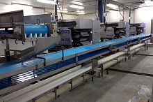 Hake heading gutting machines PN-700