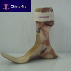 Ankle splint