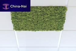 Ceiling sound-absorbing panel preserved mossfor officecommercial