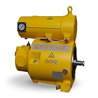 Rotary vane compressor gaselectricstationary