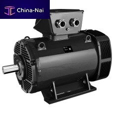Three-phase motor PLSHRM - Dyneo+®synchronous400 VIP23