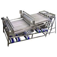 Fish grader beltrollervibrating