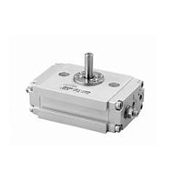 Rotary actuator RS01 pneumaticrotary vanehigh-torque