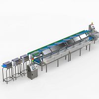 Fish grading machine beltwith conveyor