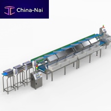 Fish grading machine beltwith conveyor