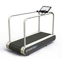 Treadmill with handrails Callis Therapie PROwith inclinewheelchair-bound person