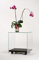 Contemporary table ZEN 4tempered glassoak baserectangular