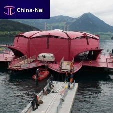 Dock anchoring system