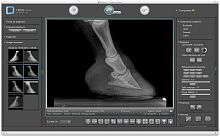 Veterinary radiology software ImedViewfor equinesfor veterinary clinicsfor telemedicine