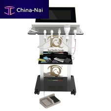 Electroporation unit VELVET SKIN INTRA PLUSRF body contouring unittrolley-mounted