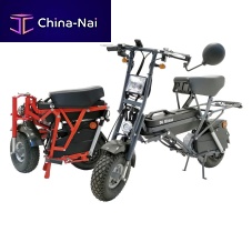 Electric scooter R70folding