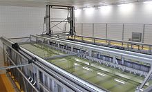 Cheese brining system