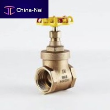 Gate valve with handwheelfor control