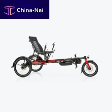 Crank-propelled recumbent trike LEPUS Eelectricadultfolding