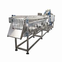 Vegetable gauging 1847beltwith conveyor