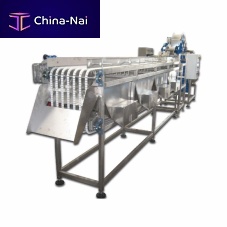 Vegetable gauging 1847beltwith conveyor