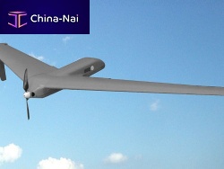 Professional UAV MicroFalconsurveillanceinspectionfixed-wing