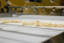 Shrimp ice glazing machine belt