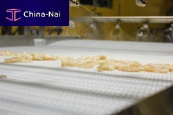 Shrimp ice glazing machine belt