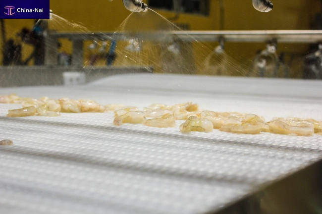 Shrimp ice glazing machine belt Shrimp ice glazing machine belt