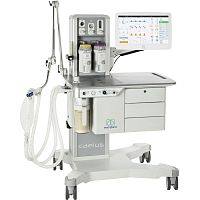 Anesthesia ventilator Caeluselectronicon casterscompact