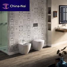Back to wall toilet FASTERceramicrimlesshome