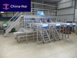 Cauliflower grader for broccolivibratingwith conveyor