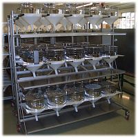 Mice metabolic cage modular