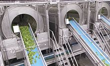 Fruit washing machine for vegetables