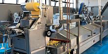 Pasta pasteurizer in-line