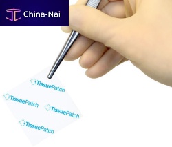 Synthetic dural substitute TissuePatchDural