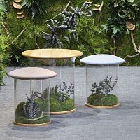 Original design stool Wild Stoolfabricwoodenwooden base