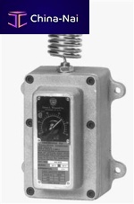 Adjustable thermostat
