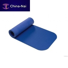 Exercise mat AIREX®