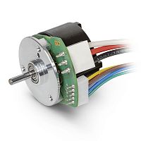 DC motor ECX FLAT 22 Lbrushless36 Vflat