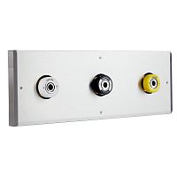 Telemonitoring module