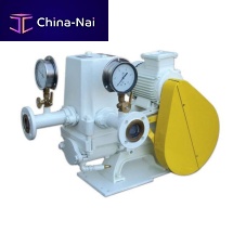 Piston pump SWLwaterelectricindustrial