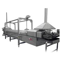 Immersion industrial cooker boilingcontinuouspasta