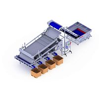 Fish grader rollerwith conveyor