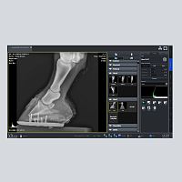 Radiography software VXvue for veterinary radiologymanagementviewer