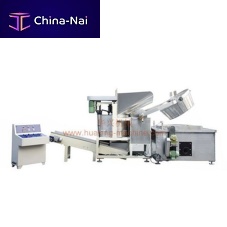 Batch industrial fryer 300Sfor snackselectric