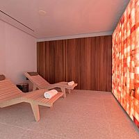 Commercial salt wall HIMALAYAN