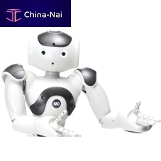 Mobile reception robot NAO