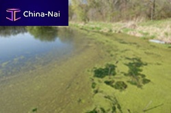 Biological sewage treatment plant BNR