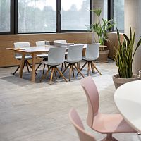 Contemporary chair WELL LIVINGindoorwoodenoak