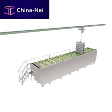 Cheese brining system