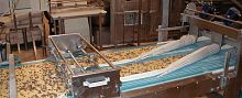 Horizontal molder for the baking industryroll