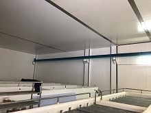 Cheese brining system